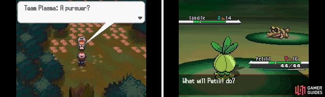 Another Grunt stands before you. The Sandile is the tougher Pokemon here but shouldn’t be much of an issue.