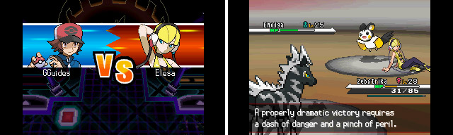 Pokémon Black and White Version Gym Leaders Weakness (Weaknesses
