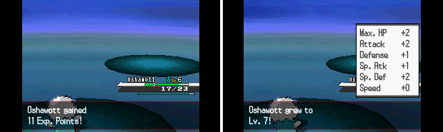 New Video Explains the Differences in Pokemon Black and White