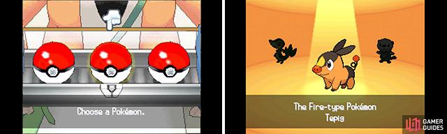 Which Pokemon version should players pick - Black 2 or White 2?