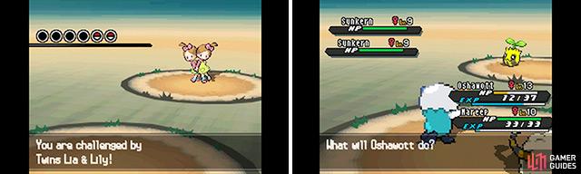 If you spot two trainers side by side, chances are it’s a double battle waiting to happen. You can also encounter wild double battles in the dark grass.