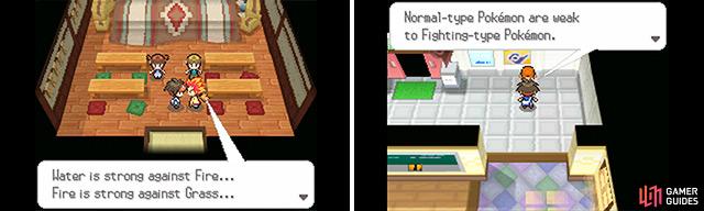Pokemon Black 2 Cheats, Hints, Tips, Walkthrough & More by Video Game  Guides