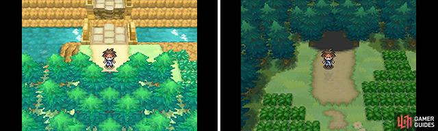 Pokemon Emerald Walkthrough Victory Road