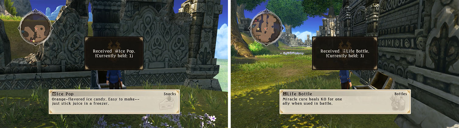 Check the area around the Mt. Mabinogio ruins for a bunch of items.