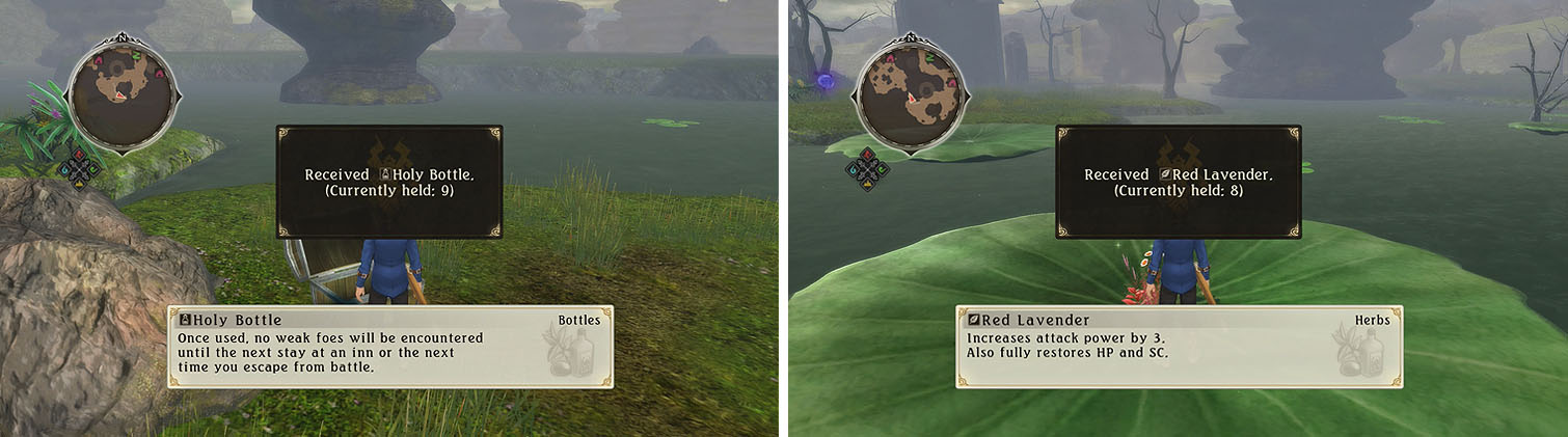 Check the southern section for a chest (left) and grab the Red Lavender before entering Rodine (right).
