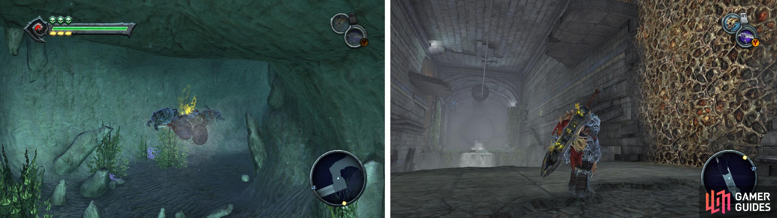 Swim through the tunnel (left) and then use the demonic growth and the rope to cross the chasm (right).