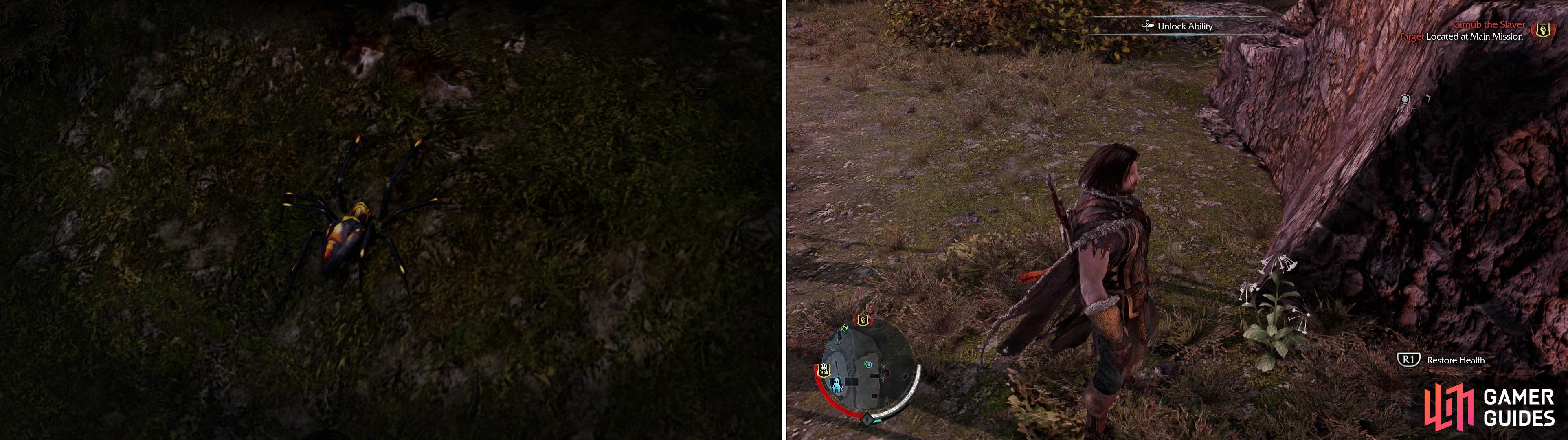You can find various critters, like Spiders, throughout Mordor (left). Some are more dangerous than others, but killing most anything satisfies a Hunting Challenge at some point. Likewise there are herbs that can be gathered (right). Not only do they heal you fully, but collecting herbs will also complete Survival Challenges.