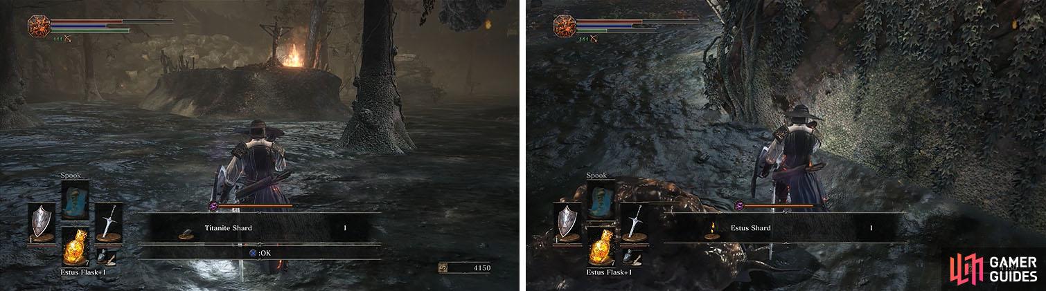Check the swamp for a Titanite Shard and don’t miss the Estus Shard nearby.