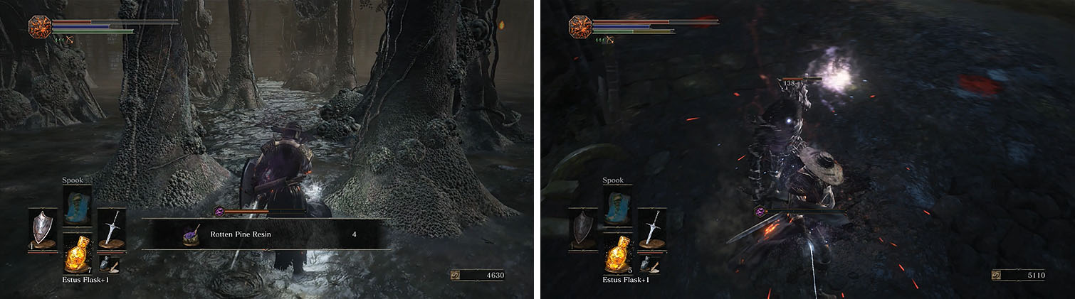 Collect the items as you pass through the woods (left) and on the other side you’ll encounter a Darkwraith (right).