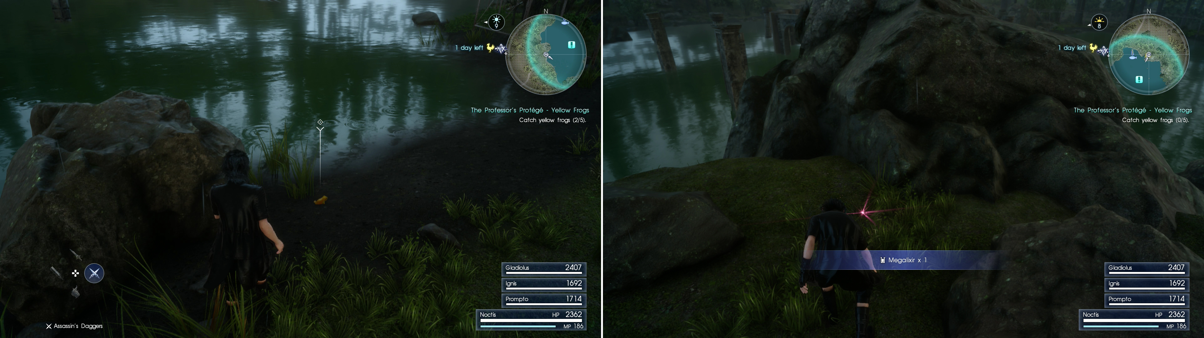 Search around the Forgotten Pool Fishing Spot to find yellow frogs (left), and while you’re here, search a Treasure Spot to find a Megalixir (right).