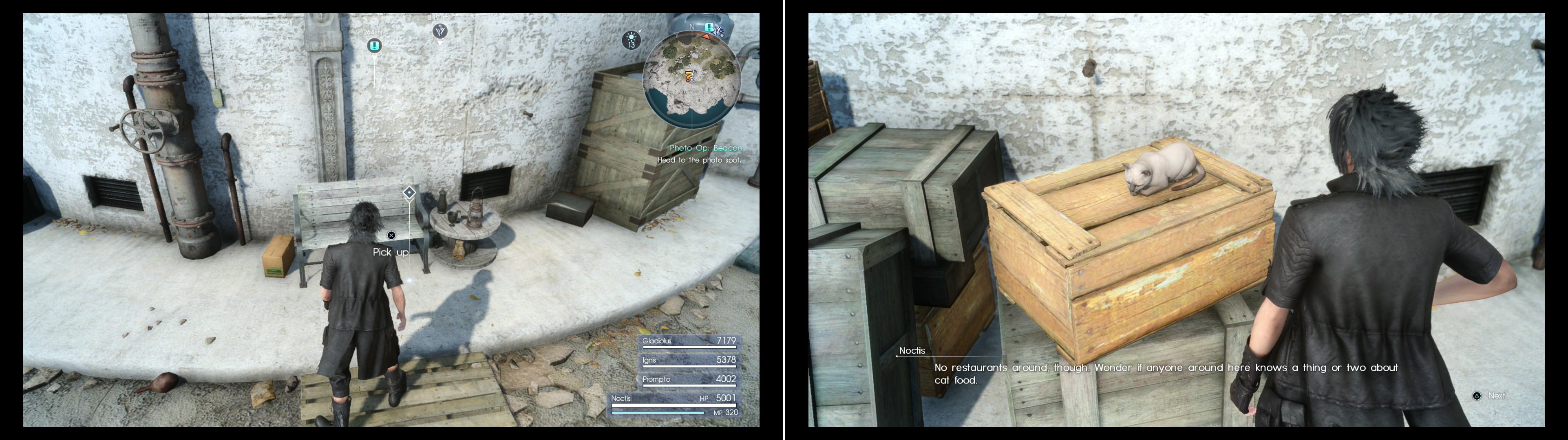 Search behind the beacon at Cape Caem to find an Oracle Ascension Coin (left), then search a crate to find the picky puss from Galdin Quay (right).