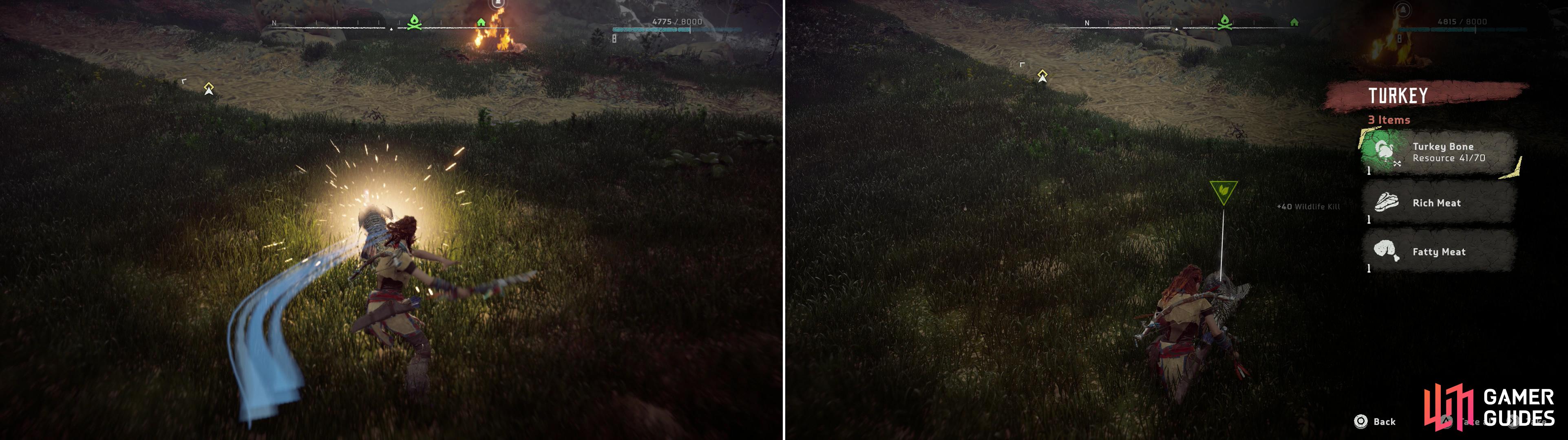 Hunt down wild animals using your spear to preserve ammo (left), and harvest meat from teh animals you kill (right).