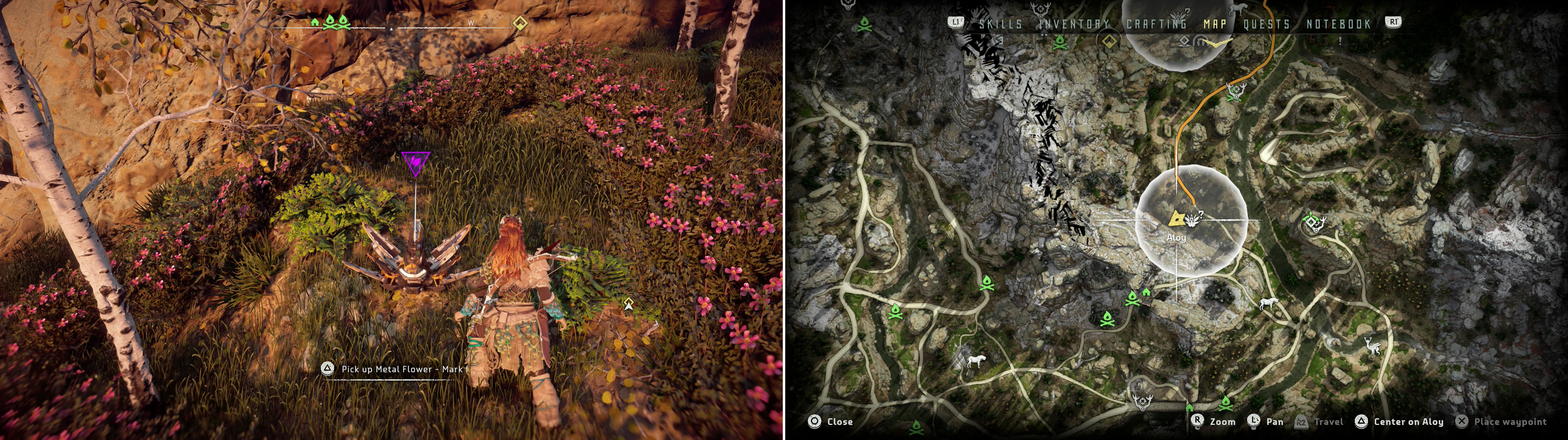 Pick up Metal Flower - Mark I (C) (left) at the position indicated on the map (right).