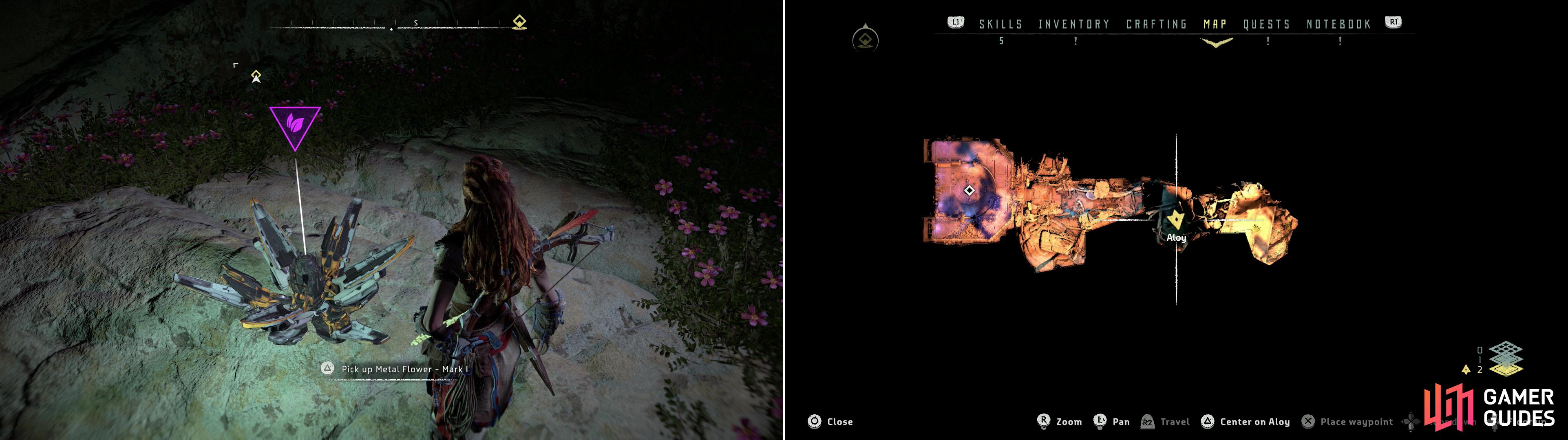 In some ancient ruins you’ll find Metal Flower - Mark I (F) (left) at the location indicated on the map (right).