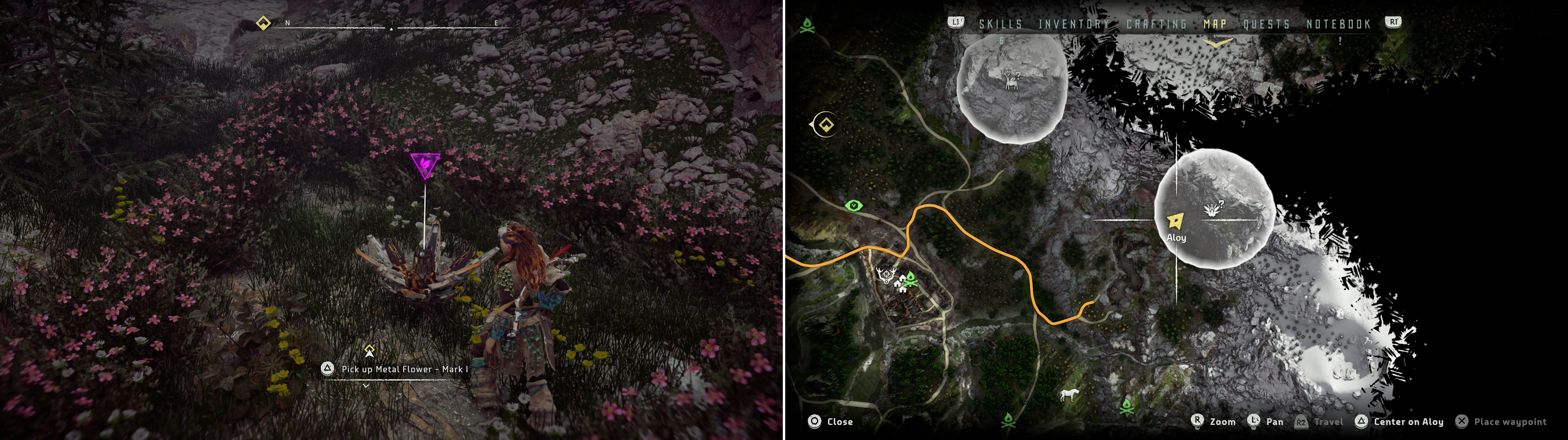 Search near the cultist camp to find Metal Flower - Mark I (D) (left), at the location indicated on the map (right).
