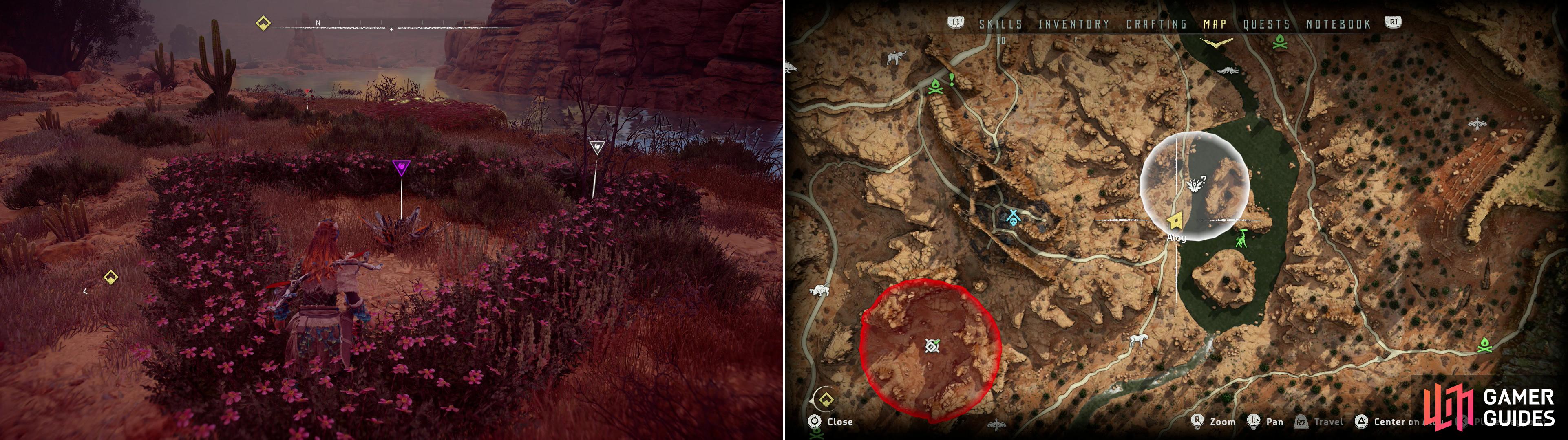 Find Metal Flower - Mark III (H) (left) at the location indicated on the map (right).
