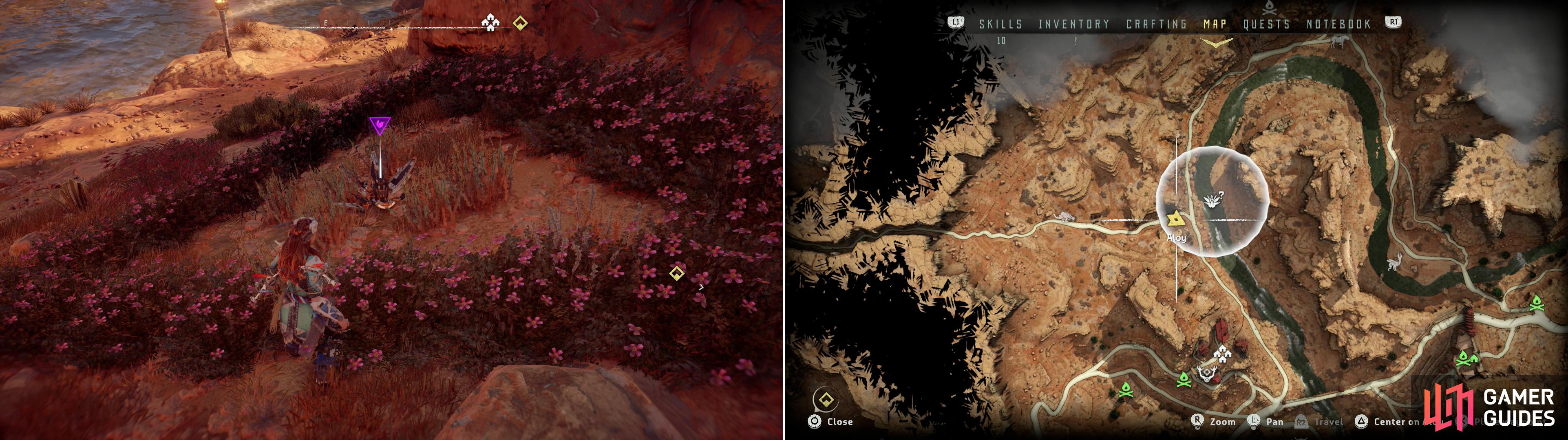 Find Metal Flower - Mark II (C) (left) at the location indicated on the map (right).