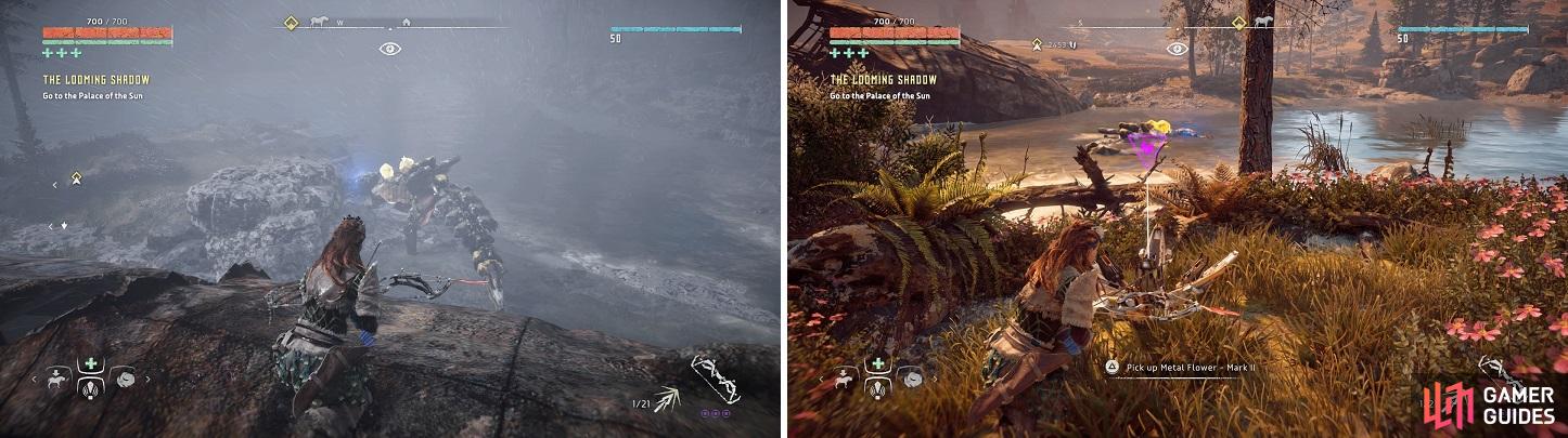You may have to kill a few Snapmaws to get to the Metal Flower (left). You may also be lucky and can just sneak up to grab it (right).