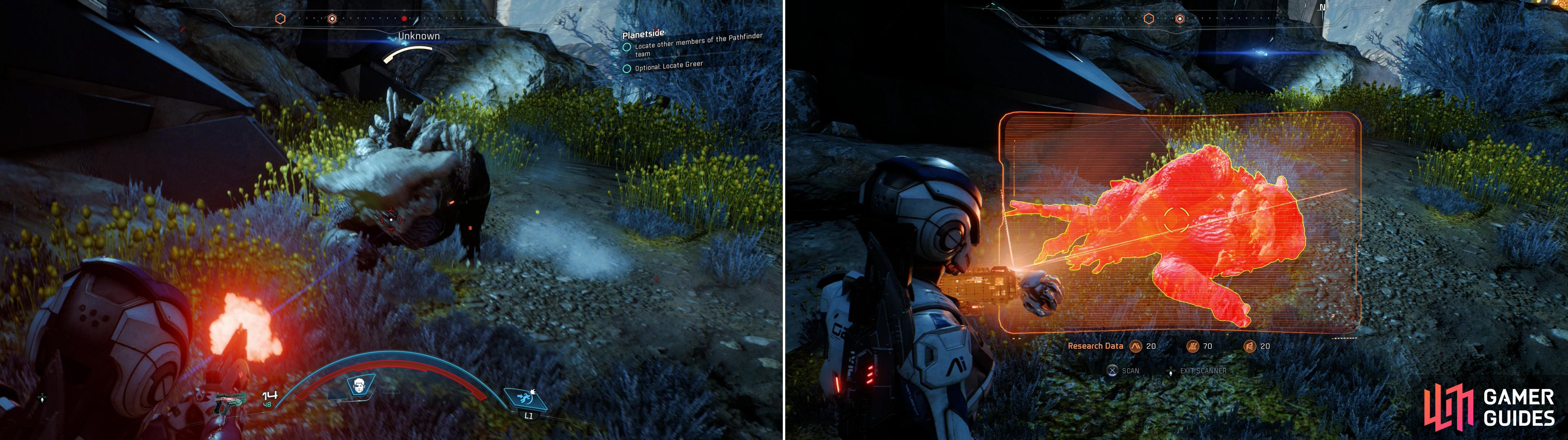 Be wary of a cloaked quadruped (left) which will attempt to ambush you. After it's dead, be sure to scan it (right) for a great deal of Heleus Research Data.