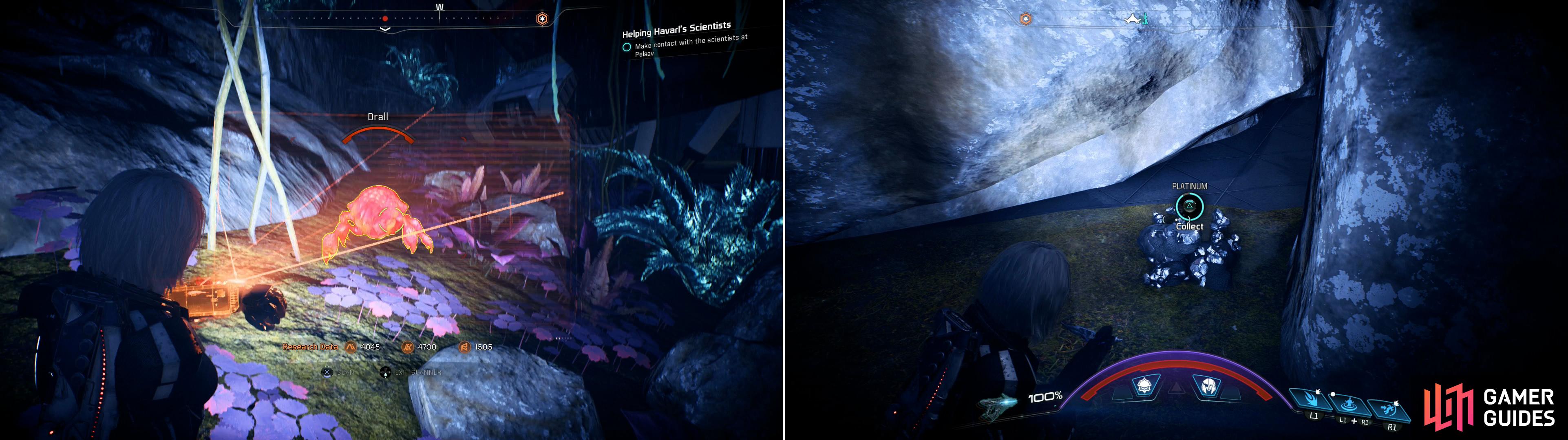 On Havarl youll find plentiful new lifeforms to scan (left) as well as abundant Platinum deposits (right).