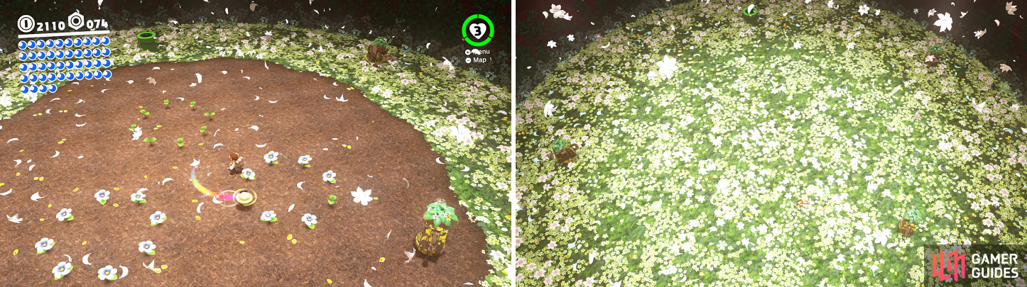 Use a spinning hat throw (left) to bloom all the plants to make a bunch of flowers grow (right).