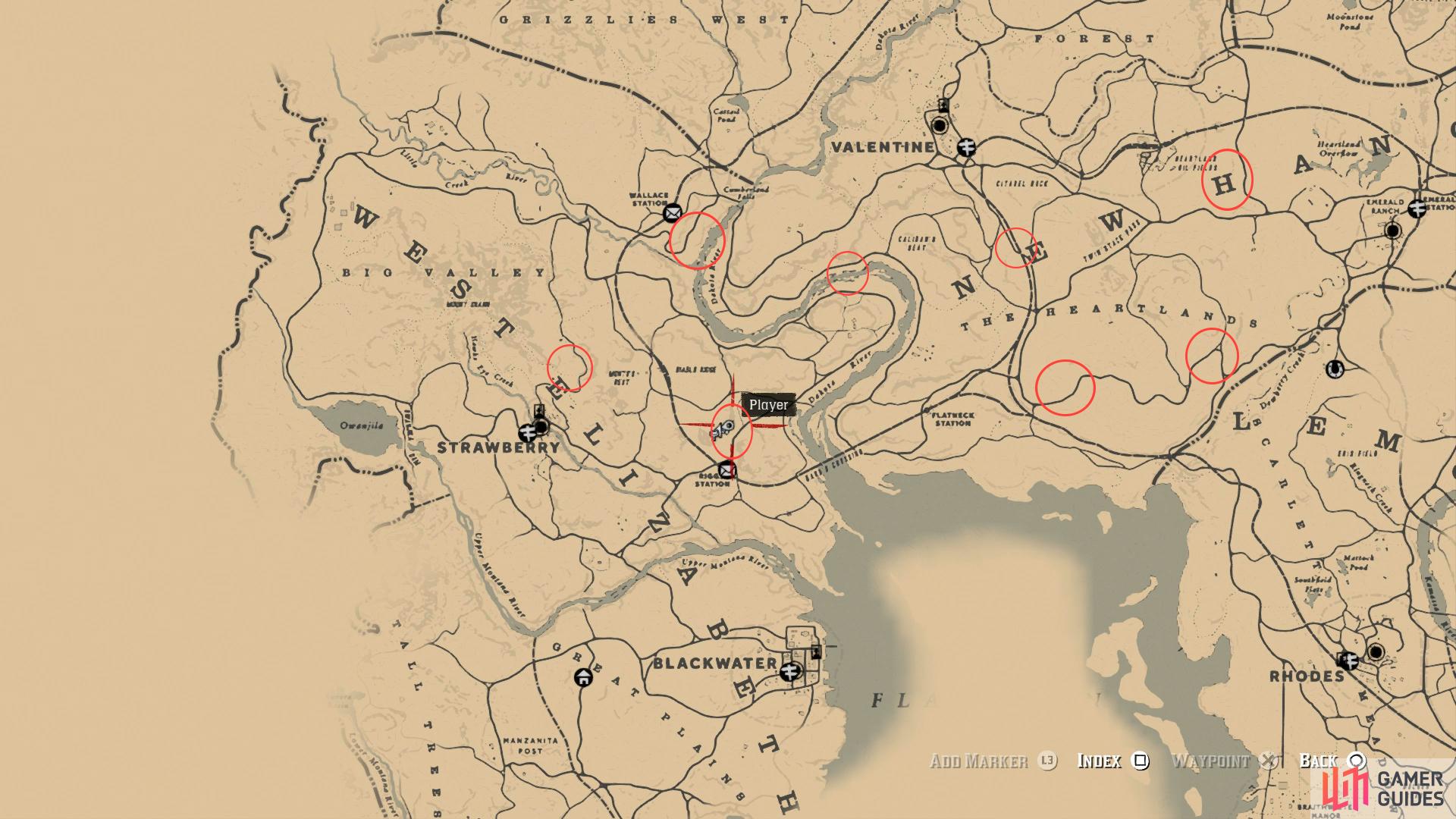 Red Dead Redemption 2 Map- RDR2 Map | Sticker