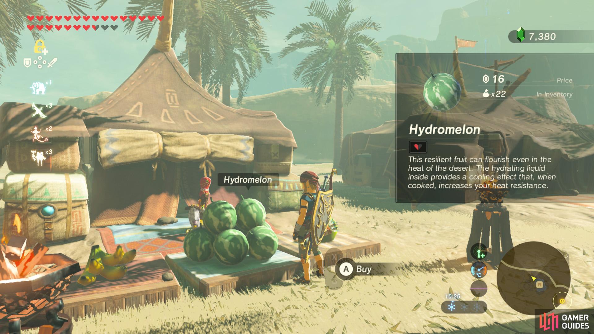 Hydromelon can be purchased or found in the Gerudo region.