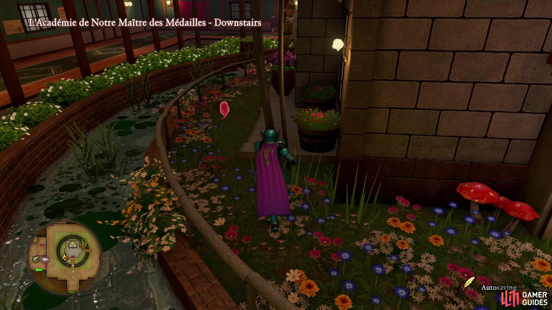 The Tockle that leads you to the Neverglade is right next to Maxime’s office at the Medal Academy