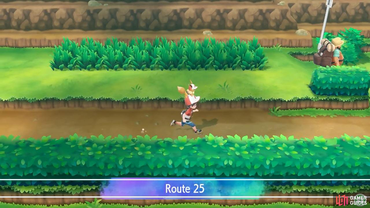 A legendary Pokémon collector lives at the end of this route.