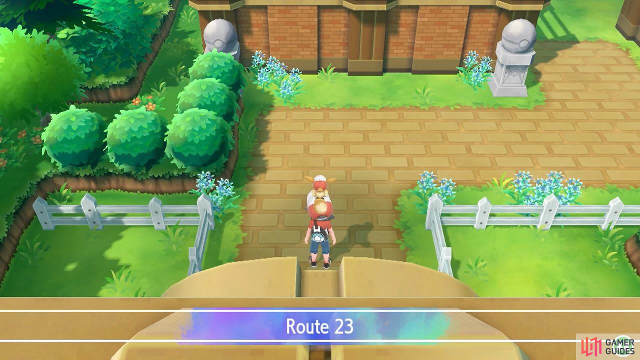 Pokémon Go: a 0xGG Journey to Level 40 – flyga natten