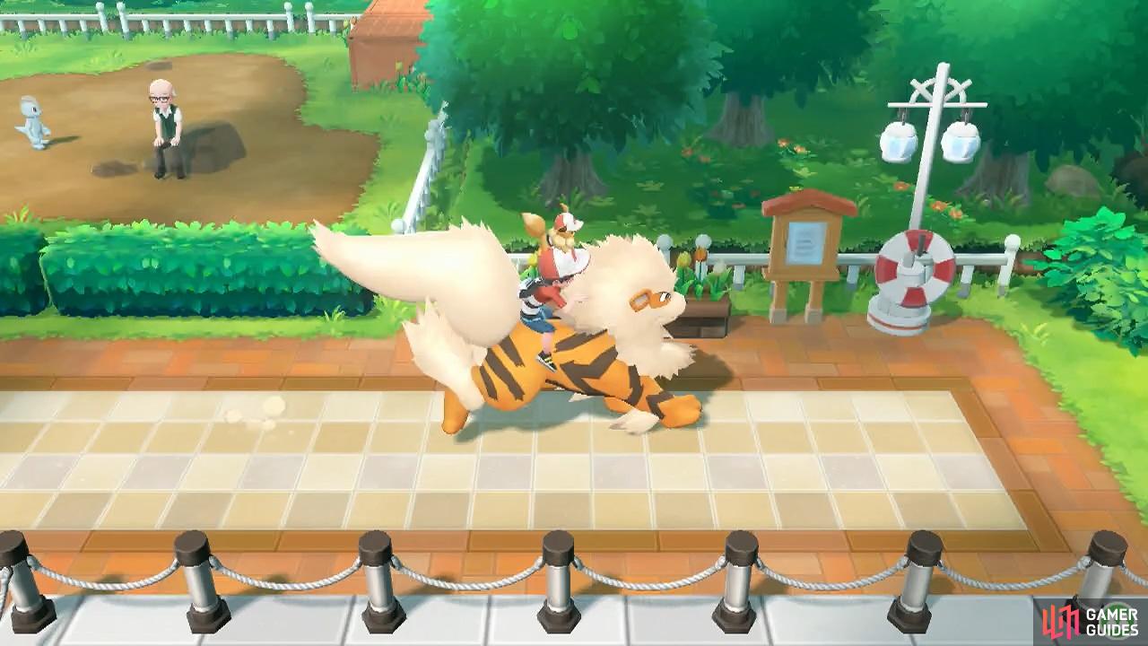 Life doesn’t get much better than riding on top of an Arcanine.