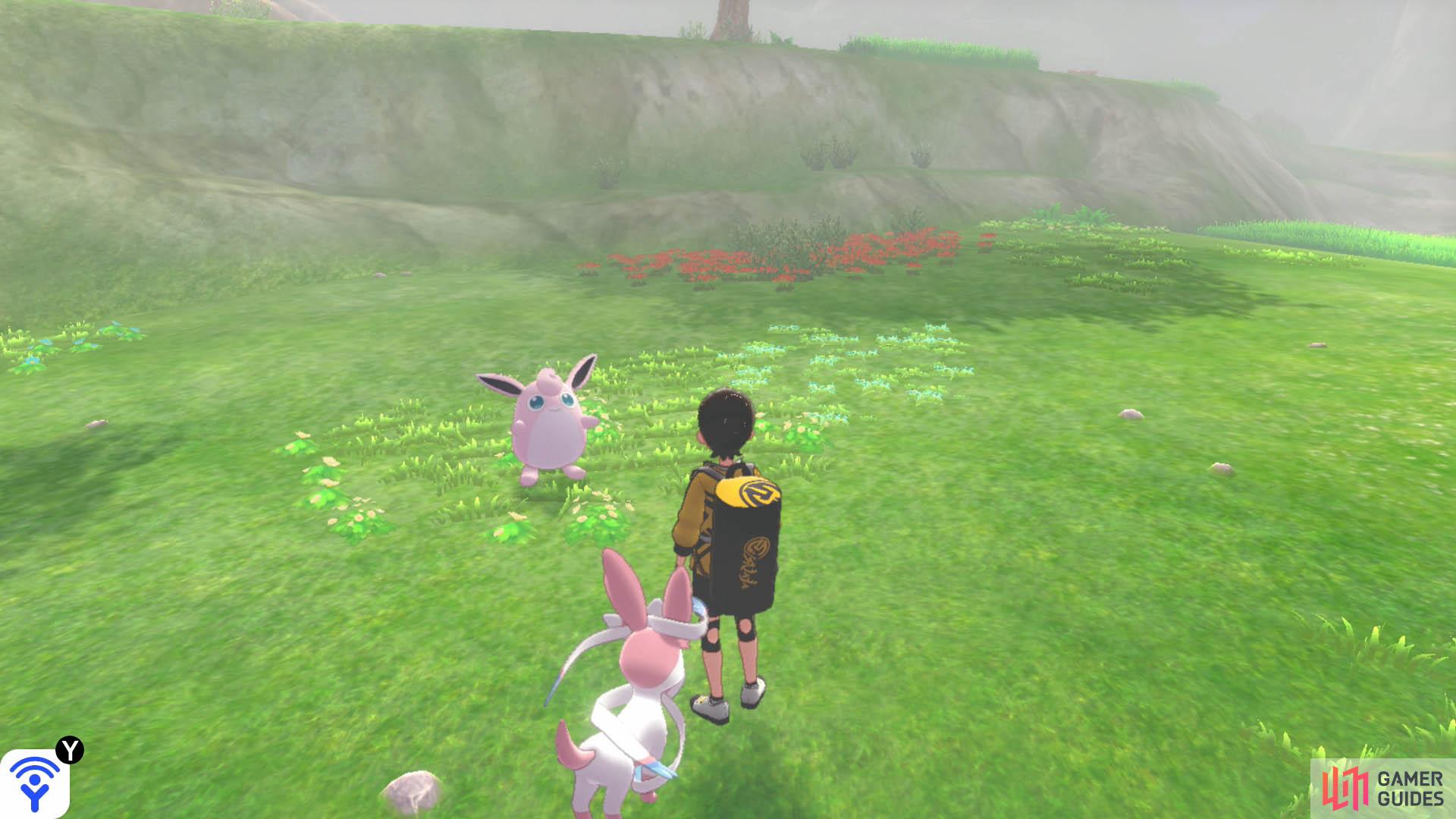 Grab yourself a Wigglytuff when there’s fog hanging in the area.