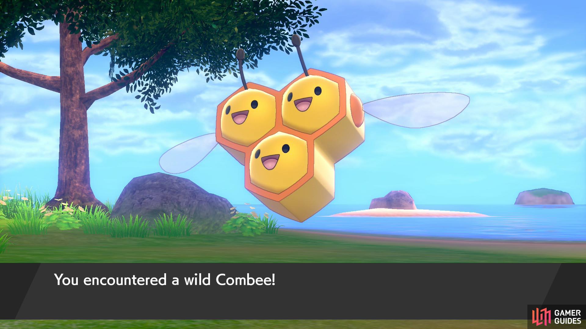 Combee are everywhere. By the way, only female ones can evolve.