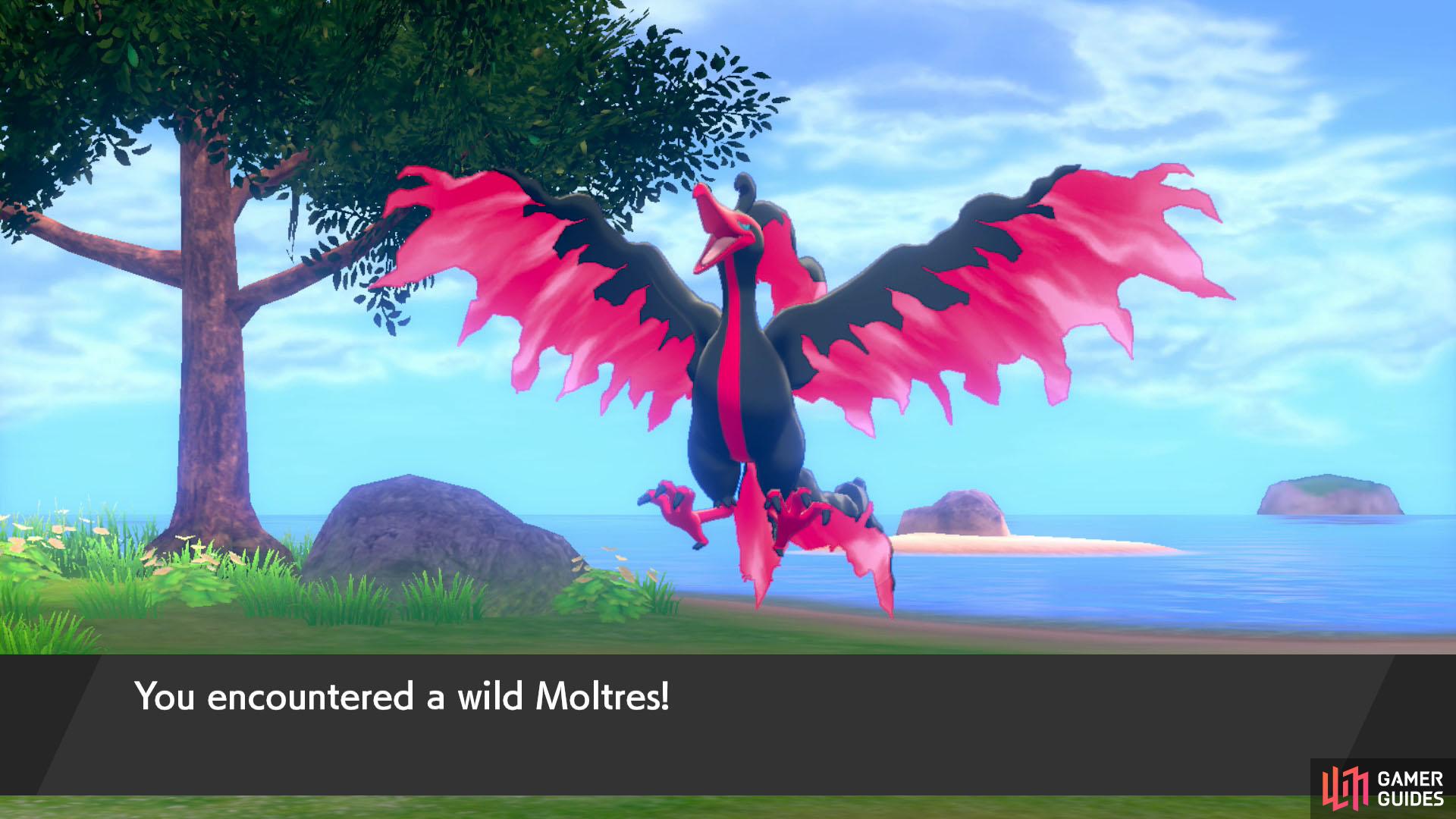 Galarian Moltres at the Isle of Armor - Walkthrough - The Crown