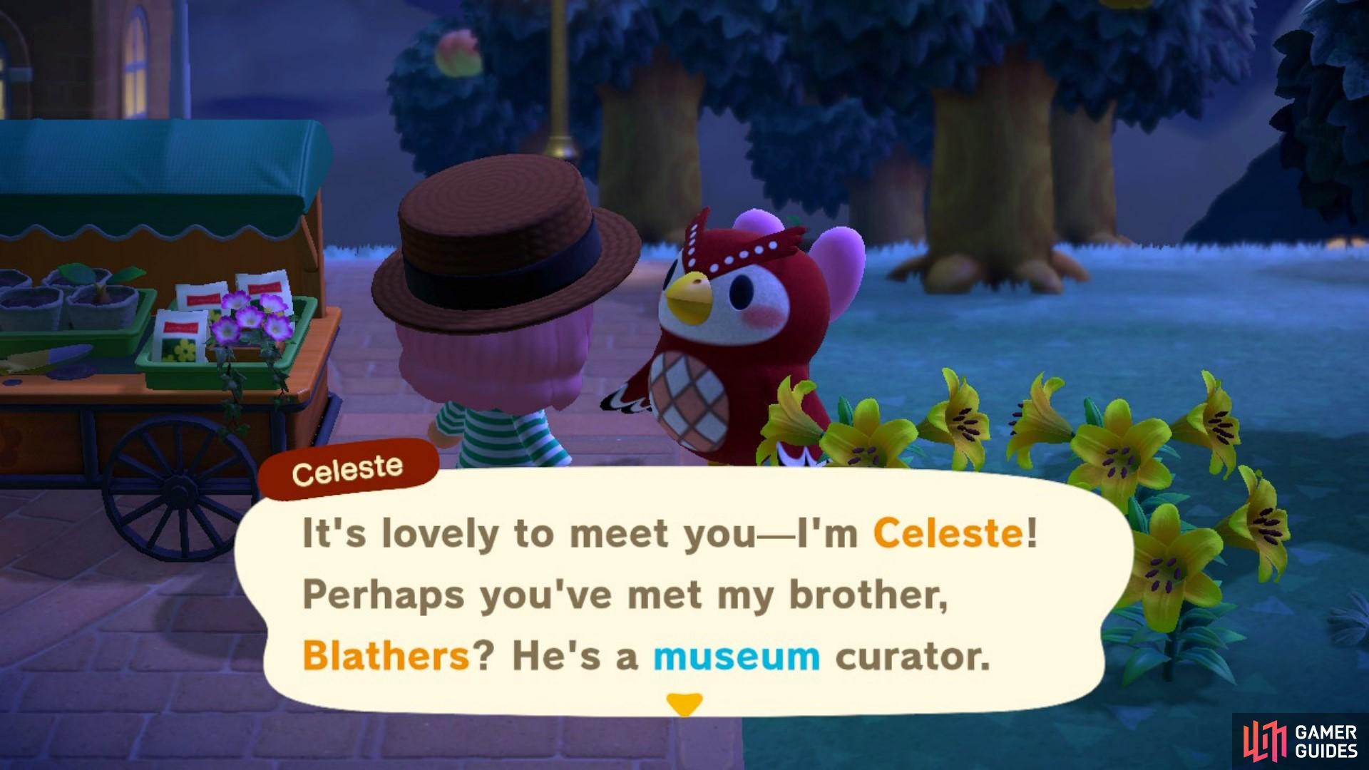 Celeste is Blathers’ sister! 