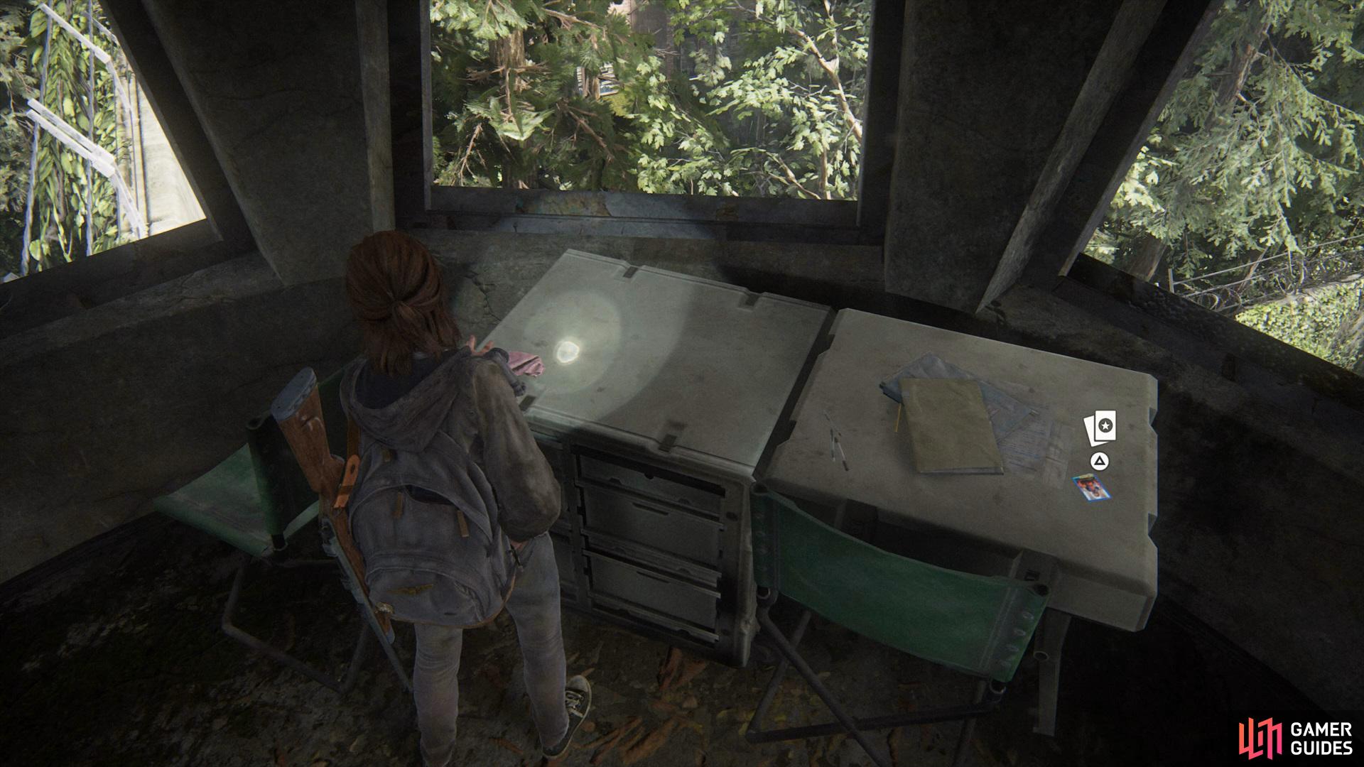The Last of Us Part II Screenshot