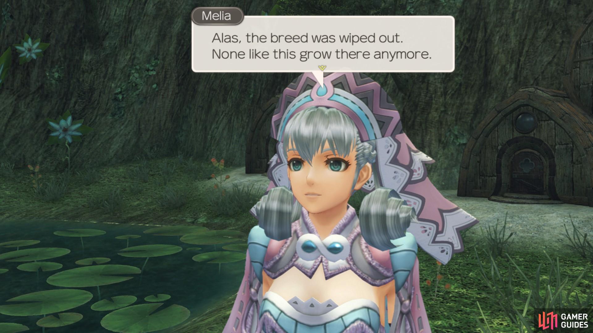 Melia is reminded of her garden.