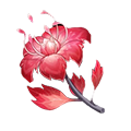 Dendrobium_Items_Genshin_Impact.png