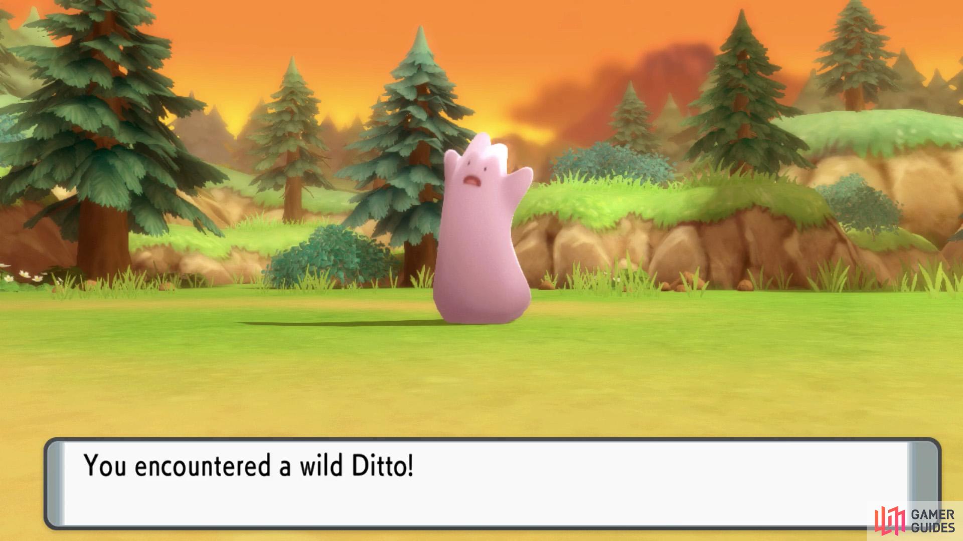How to breed Pokemon with Ditto in Pokemon Brilliant Diamond and Shining  Pearl