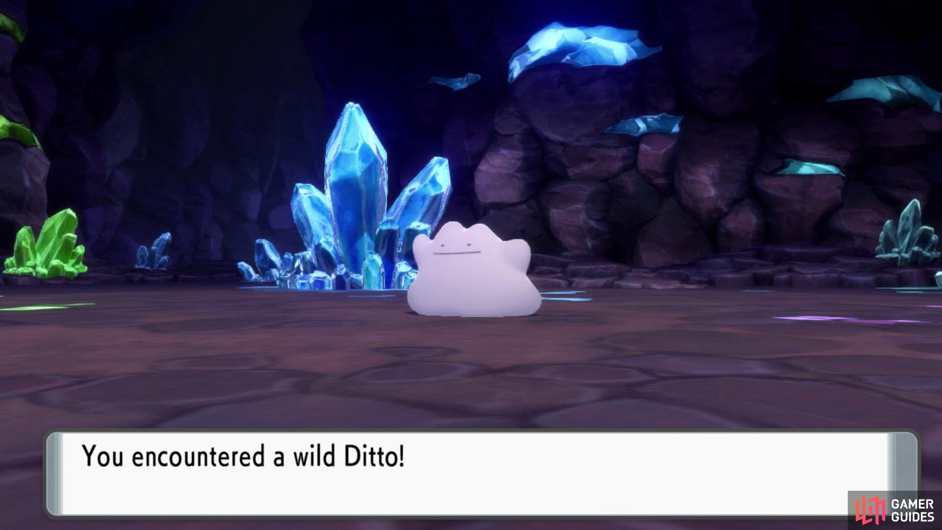 Shiny Ditto! Let's go!! : r/PokemonQuest