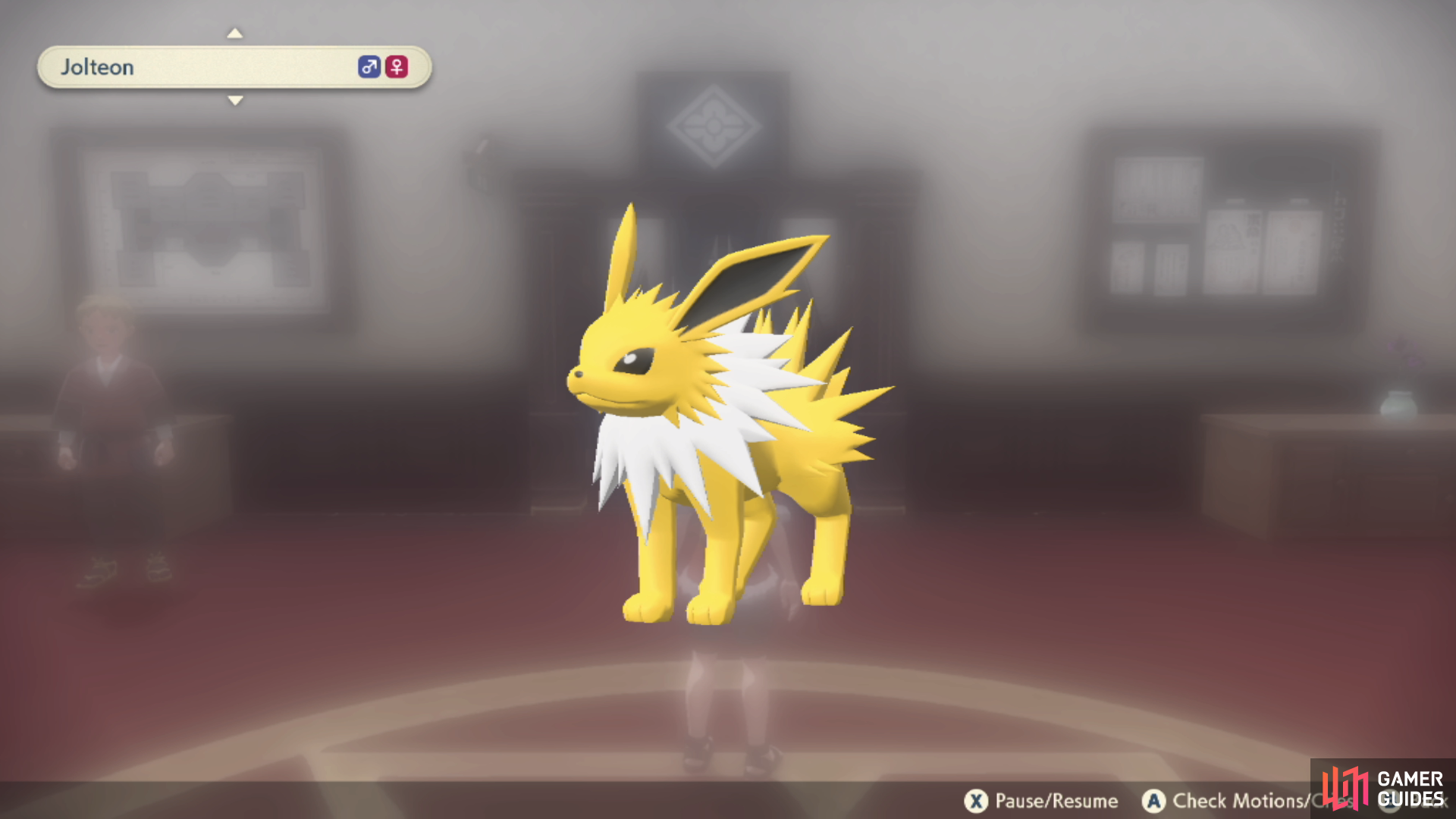Pokemon Legends Arceus guide: How to catch and evolve Eevee in PLA