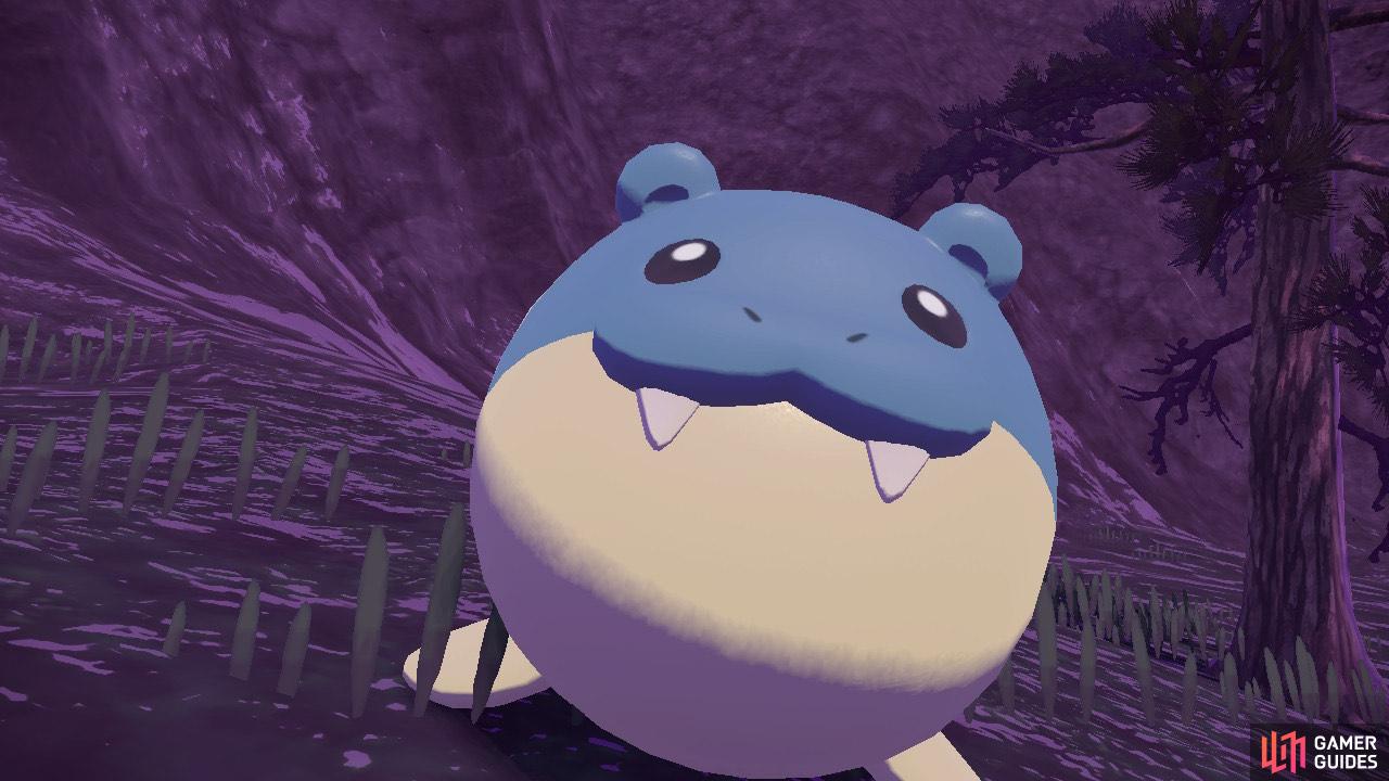 Every time you catch up with Spheal, it will look at you then keep rolling away. This happens around five times.
