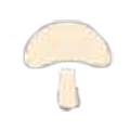 Mushroom_Icon_Ingredients_Tales_of_Arise.png