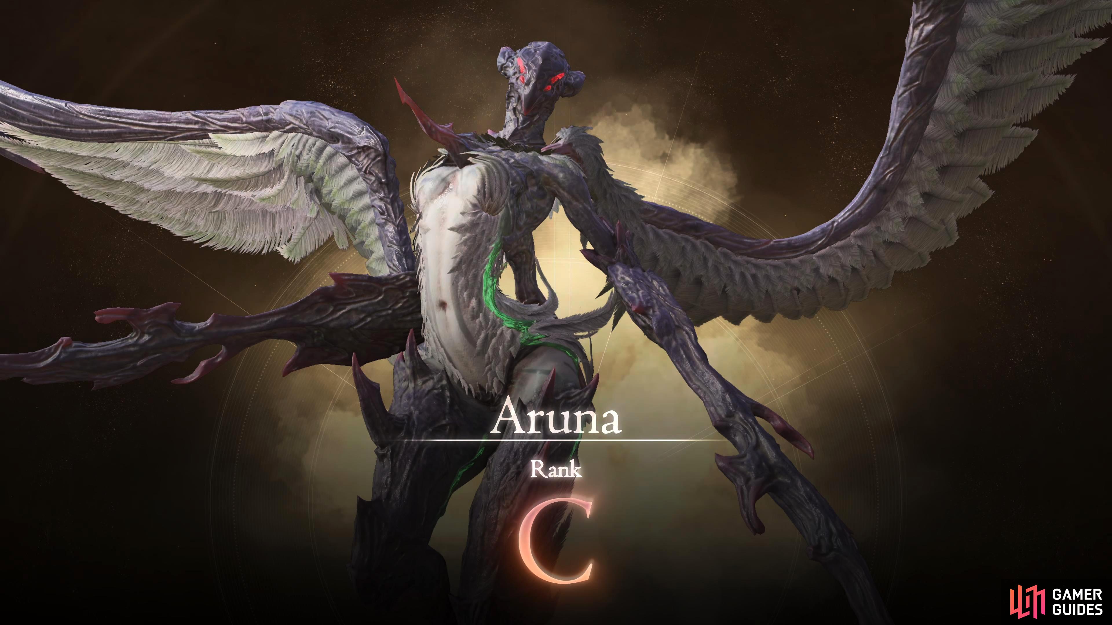 Aruna will be the second C Rank Hunt you’ll face.