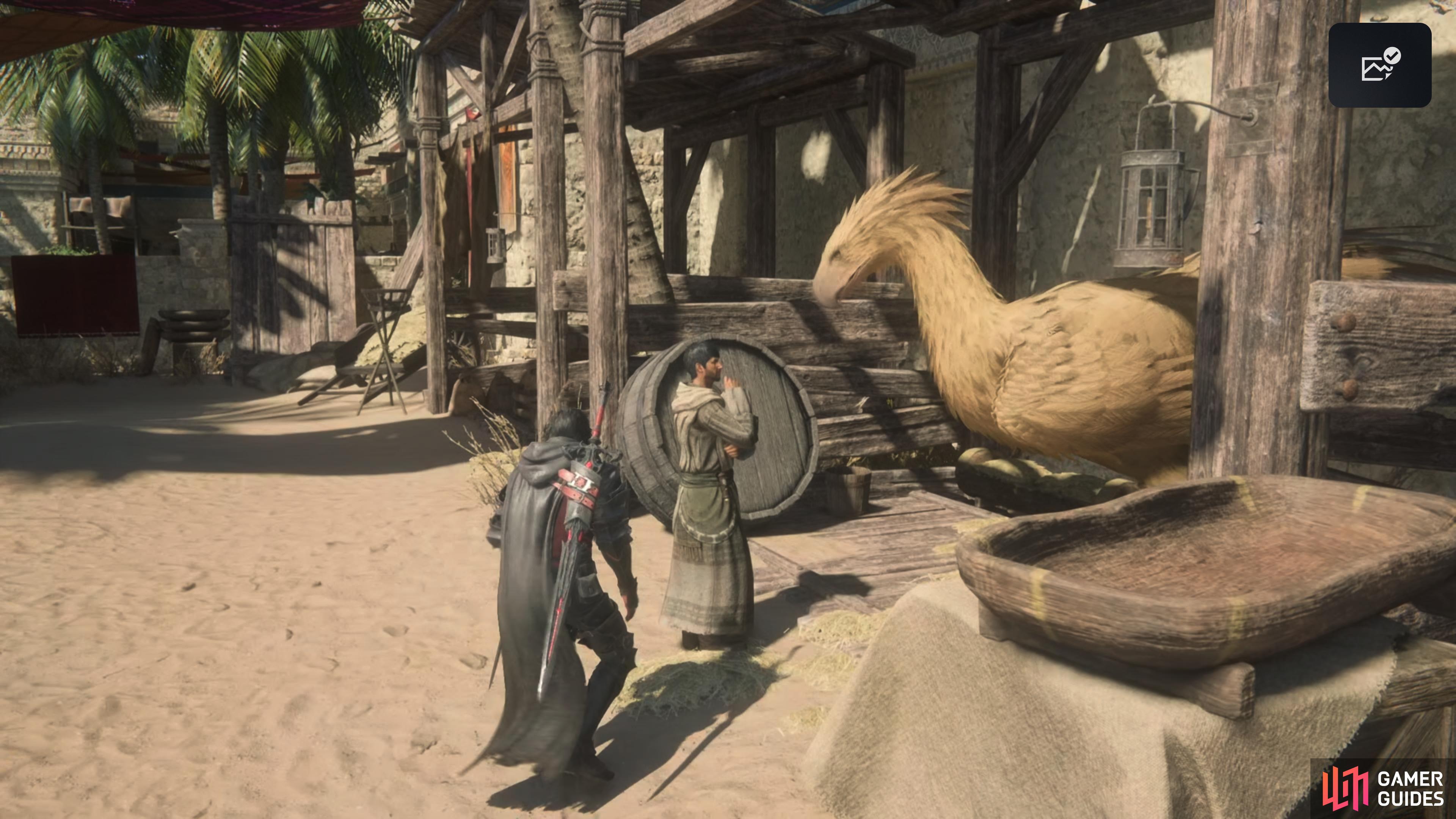 Assassin's Creed: Origins Adding Chocobo Horse Because Why Not