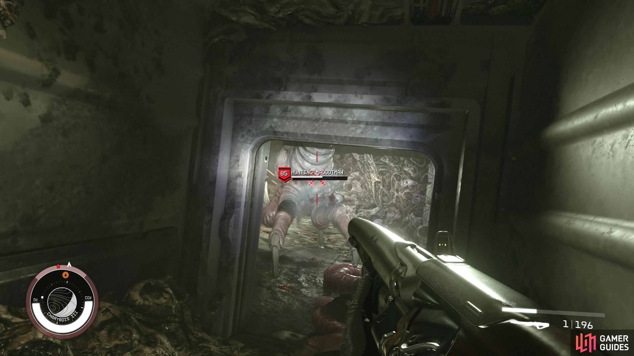 Stay in the tunnel and shoot the Level 85 Maggotmaw from a safe distance!