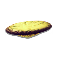 Saucer_fungus_NMS.png