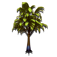 fruit_tree_NMS.png
