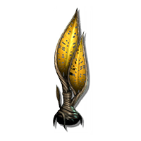 sail_plant_NMS.png