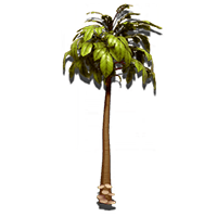 spindle_tree_NMS.png